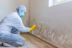 Professional Mold Remediation in Pebble Creek, FL